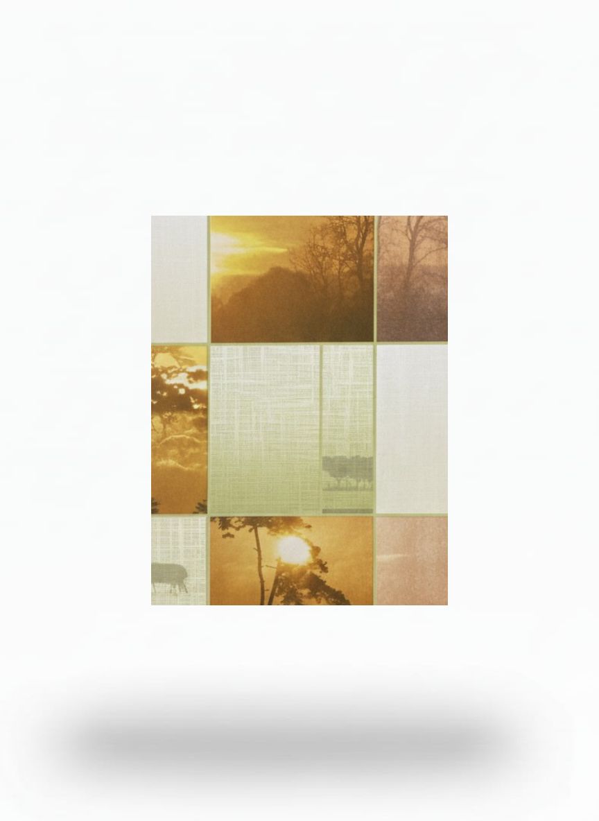 C2-BO SUNRISE 14